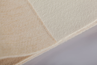 Aramid Needle Felt Filter Cloth